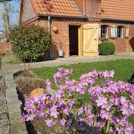 Ferienhaus Voern-Diek Hohnstorf Bagian luar foto