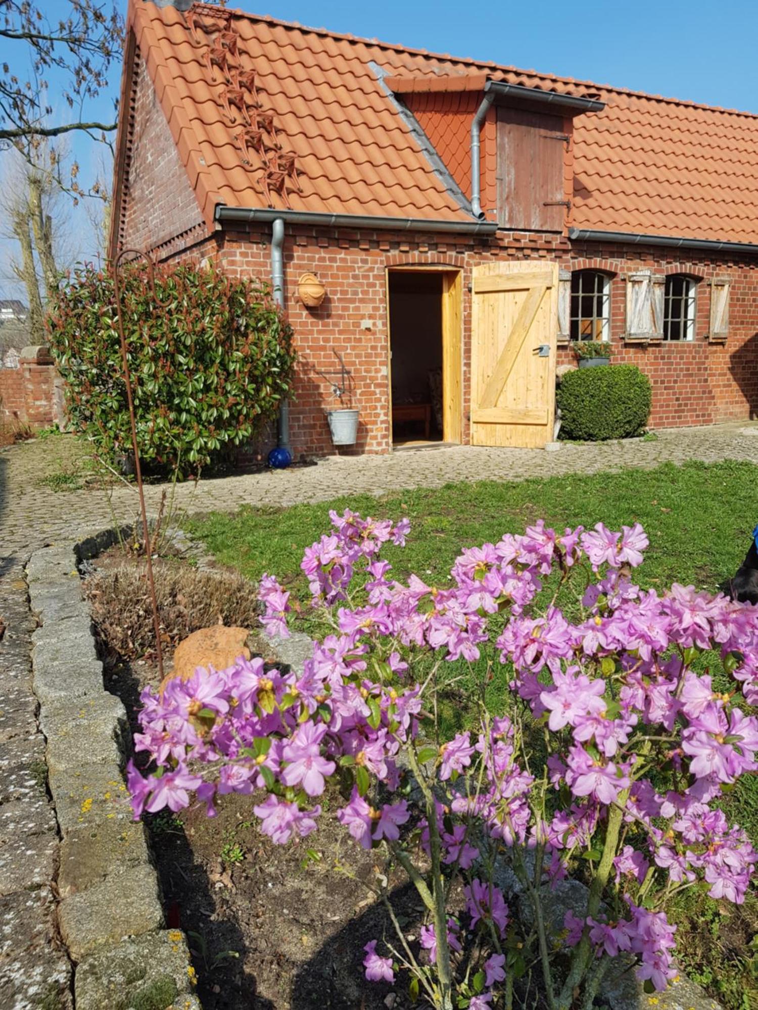 Ferienhaus Voern-Diek Hohnstorf Bagian luar foto